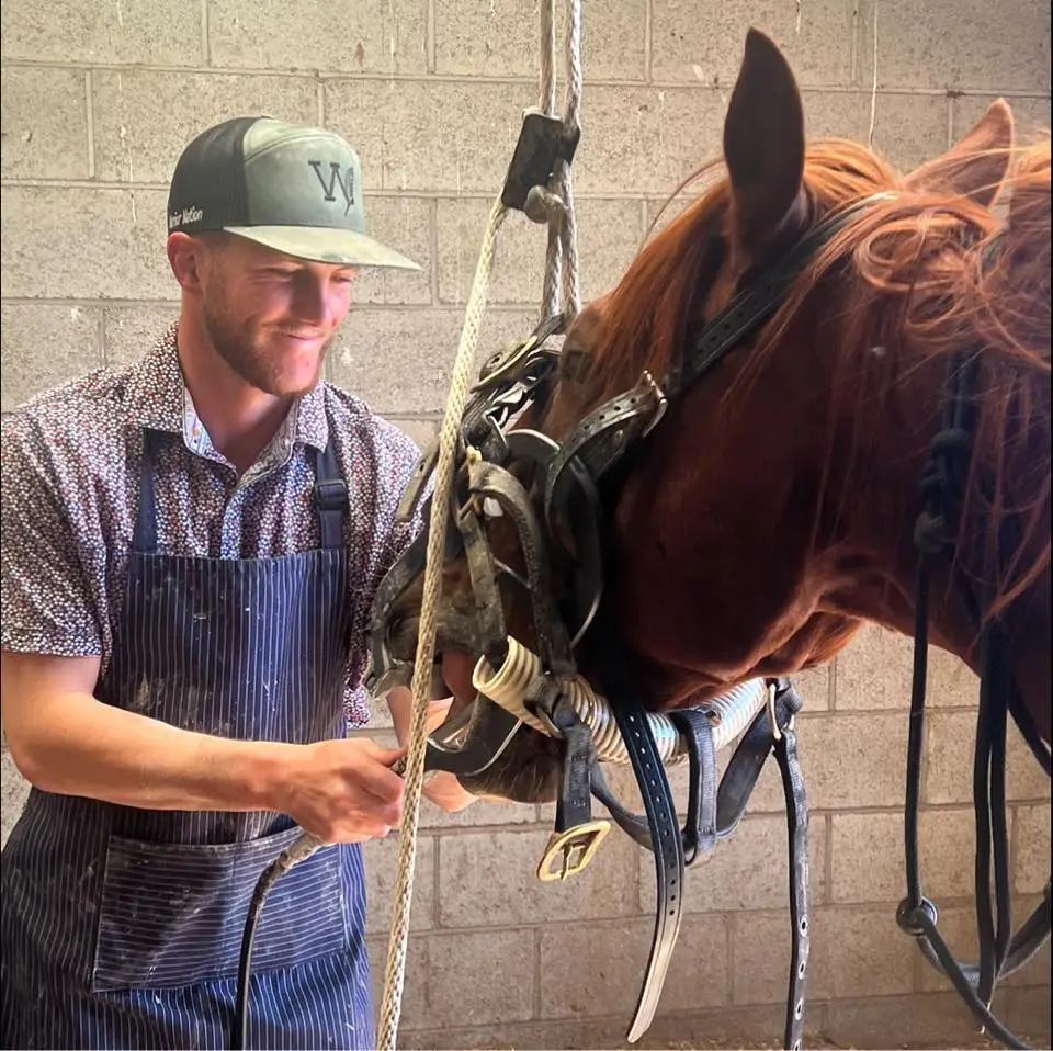 A person in a patterned shirt and apron adjusts a horse's bridle in a stable setting, surrounded by concrete walls A person in a patterned shirt and apron adjusts a horse's bridle in a stable setting, surrounded by concrete walls
