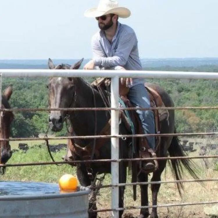 Cayle Cutburth, Certified Equine Dental Practitioner Cayle Cutburth, Certified Equine Dental Practitioner