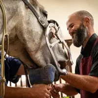 Cayle Cutburth Equine Dentistry Branding Session-11western-equine-lifestyle-fineart -photography