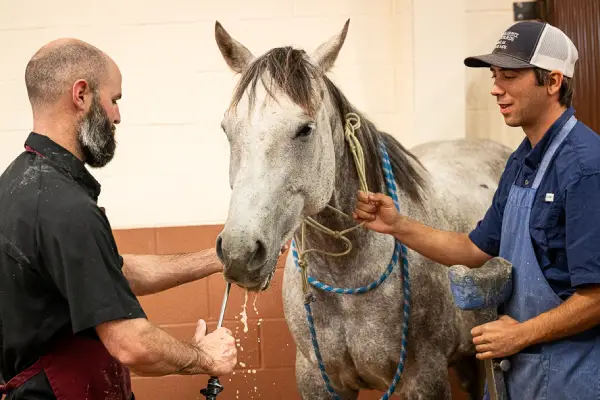 Cayle Cutburth Equine Dentistry Branding Session-26western-equine-lifestyle-fineart -photography Cayle Cutburth Equine Dentistry Branding Session-26western-equine-lifestyle-fineart -photography