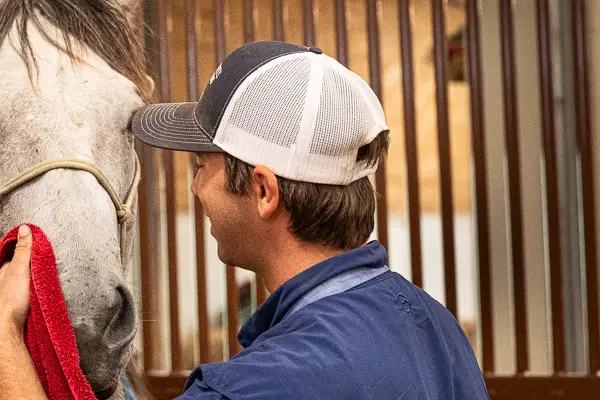 Sedation Protocols Procedure for Horses Sedation Protocols Procedure for Horses